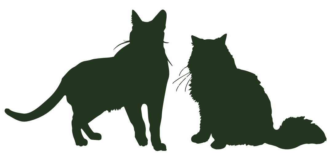 Illustration of Lisa and Austin’s cats.