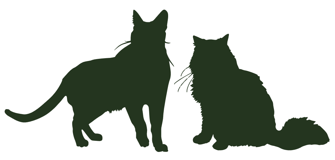 Illustration of Lisa and Austin’s cats.