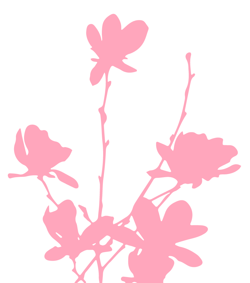 Illustration of flowers.